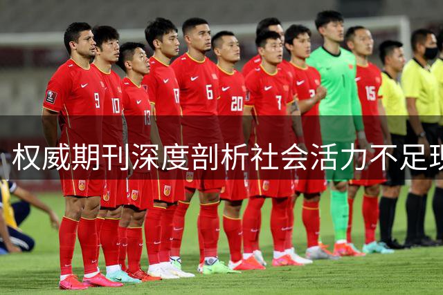 权威期刊深度剖析社会活力不足现象