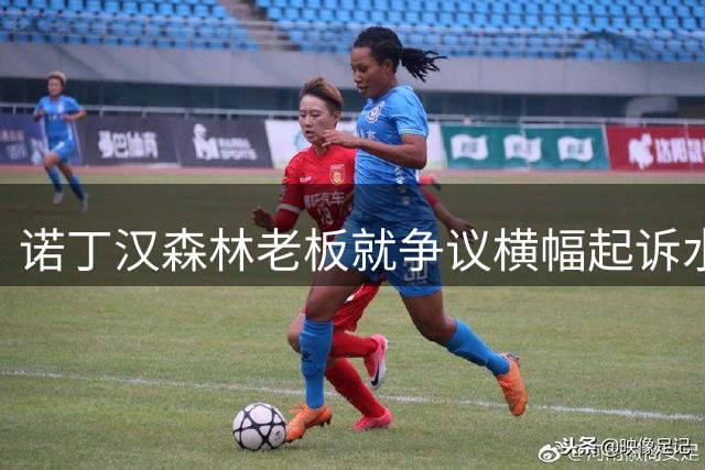 诺丁汉森林老板就争议横幅起诉水晶宫 索赔诽谤